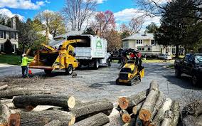 Best Stump Grinding and Removal  in Columbia, MD