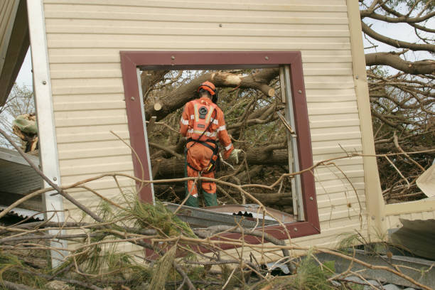 Best Hazardous Tree Removal  in Columbia, MD